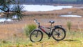Bicycle on nature background. Pine branch on river background. Travel on a bicycle Royalty Free Stock Photo