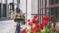 Bicycle near red flowers on the street Royalty Free Stock Photo