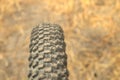 Bicycle off-road tire on the background of the autumn needles on the sunny forest road. Rubber wheel protector mountain bike Royalty Free Stock Photo