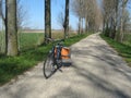 A bicycle with panniers of a postman stands at a road in the countryside in springtime in holland Royalty Free Stock Photo
