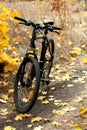 The bicycle on a parh. Royalty Free Stock Photo