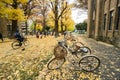 Bicycle at the park in autumn taken at Tokyo University