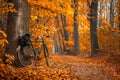 Bicycle Parked Along Autumn Leaf Covered Path Royalty Free Stock Photo
