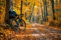 Bicycle Parked Along Autumn Leaf Covered Path Royalty Free Stock Photo