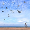 Bicycle parked on cobble stone pier in sea harbor. Seagulls flock flies in magnificent blue sky.