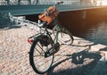 Bicycle parked near river canal in Copenhagen Royalty Free Stock Photo