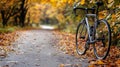 A bicycle is parked on the side of a road in the fall Royalty Free Stock Photo