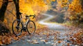 A bicycle is parked on the side of a road in the woods Royalty Free Stock Photo
