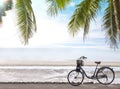 Bicycle parking on the beach with coconut palm trees against blue sky at tropical beach coast. Summer vacation and nature travel Royalty Free Stock Photo