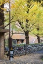 Bicycle parking inside the University of Tokyo