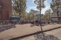 Bicycle parking near building in Hague Royalty Free Stock Photo