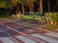 Bicycle parking for rent. Rent a vehicle on the card. Transport in the resort. Bicycles for rent. Park infrastructure. Bike path