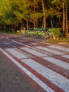 Bicycle parking for rent. Rent a vehicle on the card. Transport in the resort. Bicycles for rent. Park infrastructure. Bike path