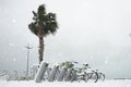 Bicycle parking at winter Royalty Free Stock Photo