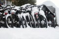 Row of bicycles covered with snow Royalty Free Stock Photo