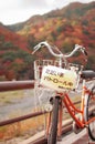 Bicycle on the parol. Fall is very colorful season of Japan