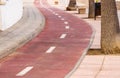 Bicycle path along the beach.