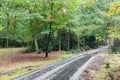Bicycle path through autumn forest of Dutch National Park Veluwe Royalty Free Stock Photo
