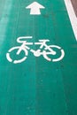 Bicycle path or Bicycle signs on the road. Royalty Free Stock Photo