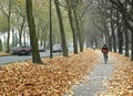 Bicycle path in Brussels