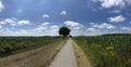 Bicycle path through farmland