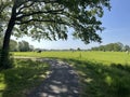 Bicycle path through farmland with cows Royalty Free Stock Photo