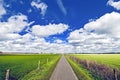 Bicycle path between meadows with a blue sky with white clouds