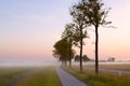 Bicycle path in misty morning