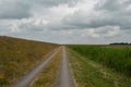 Bicycle path through the national park `Vorpommersche Boddenlandschaft`