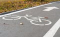 Bicycle path sign in the Park on the asphalt. Autumn