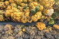 Bicycle path surrounded by yellow and green trees. park landscape in sunny day. aerial top view Royalty Free Stock Photo