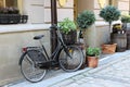 Bicycle in the paved street