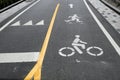 Bicycle and pedestrian path in Lower Manhattan Royalty Free Stock Photo