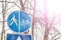 Bicycle and pedestrian shared route blue round sign in city park, copy space Royalty Free Stock Photo