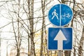 Bicycle and pedestrian shared route blue round sign in city park, copy space Royalty Free Stock Photo