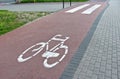 Bicycle pictogram, road marking, bicycle track. City