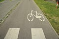 Bicycle pictogram, road marking, bicycle track. City.