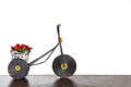 Bicycle with plant and red hearts in basket. Valentine`s concept