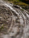 Bicycle print on a wet ground, Royalty Free Stock Photo