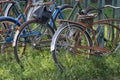 Bicycle and Rack Detail