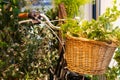 Bicycle rattan basket filled with fake plants