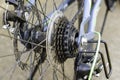 A bicycle rear wheel chain sprocket spokes disc brakes closeup Royalty Free Stock Photo