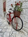 bicycle with red flowers in front of a brick wall Royalty Free Stock Photo