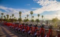 Bicycle rental on the promenade in Barcelona. Selective focus Royalty Free Stock Photo