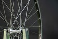 Bicycle repair. The front wheel is on a stand on a black background. Rim and spokes close-up. Mechanic levels the wheel in the Royalty Free Stock Photo