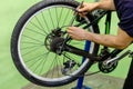 bicycle repair. mountain bike in the workshop. Rear derailleur adjustment