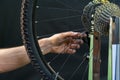 Bicycle repair. Professional bike workshop. Mechanic repairing spokes of the rear wheel of a mountain bike. Fingers checks the Royalty Free Stock Photo