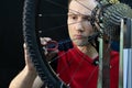 Bicycle repair. Rear wheel and tire closeup. Mechanic repairing spokes of the rear wheel of a mountain bike. Bike mechanic in the Royalty Free Stock Photo