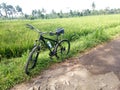 bicycle and rice field landscape