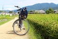 Bicycle, rice grains, and some Japanese houses